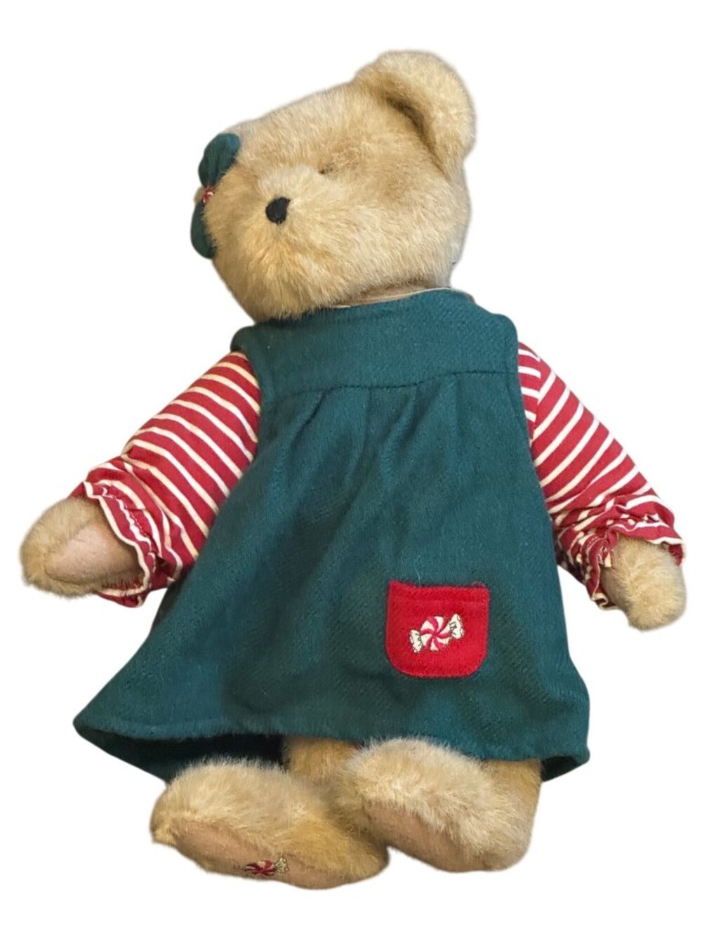 Boyd's the Head Bean Collection Speara Mintly Bear